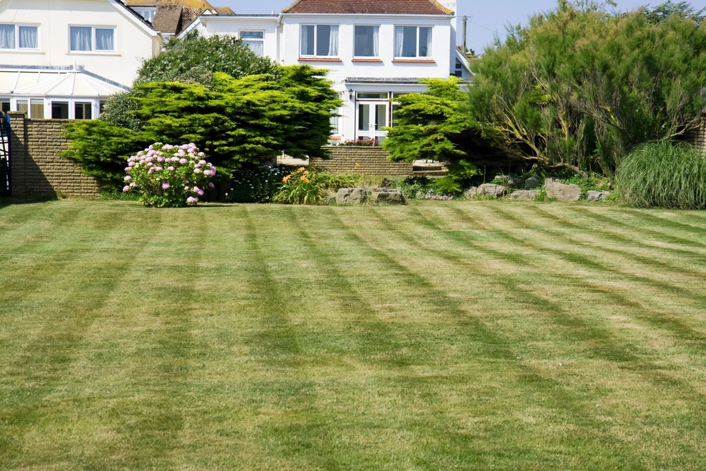 Lawn that may be mowed with battery lawnmower